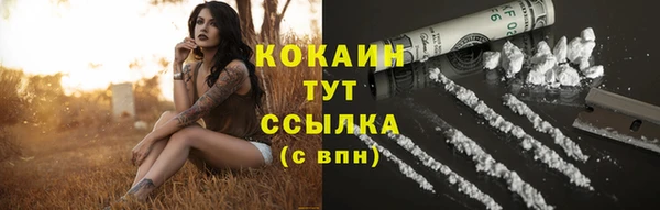 спиды Алексин